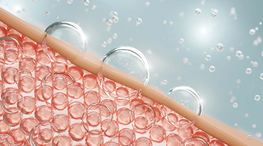 Illustration de la barrière cutanée montrant les cellules de la peau et la rétention de l’hydratation, mécanisme naturel de protection de l’épiderme