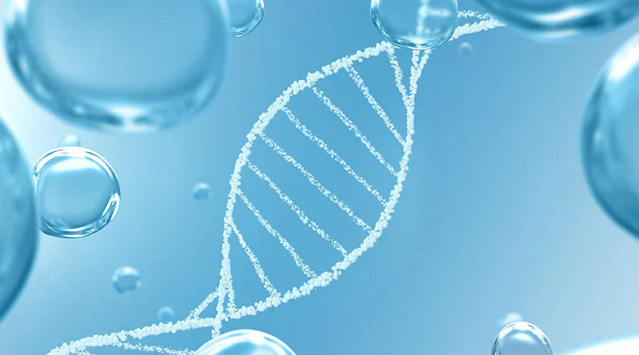 Représentation moléculaire illustrant l'action synergique de l'acide hyaluronique, des oligo-éléments et des actifs réparateurs sur la peau, pour une hydratation avancée et un équilibre cellulaire optimal.