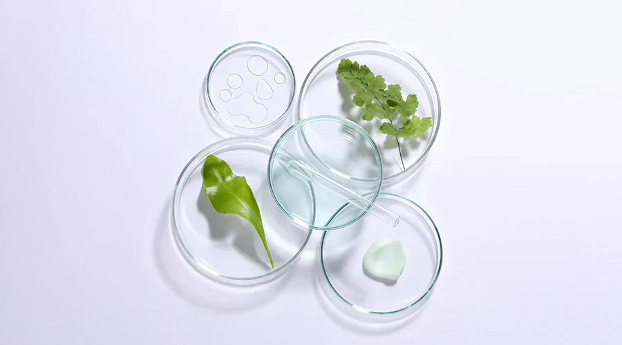 Actifs naturels et ingrédients cosmétiques illustrant une routine minimaliste avec des soins essentiels pour une peau équilibrée et hydratée