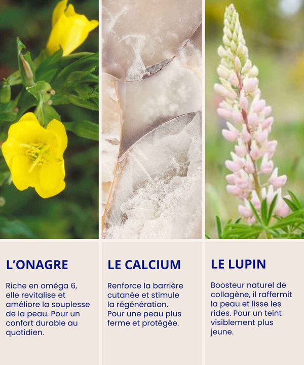 Actifs stars de la Crème Jeunesse IUM : onagre pour la souplesse, calcium pour la régénération, lupin pour raffermir.