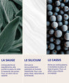Actifs naturels IUM Paris : sauge purifiante, silicum régénérant et cassis antioxydant pour une peau éclatante, lisse et apaisée.
