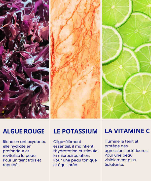 Actifs clés du Sérum Repulpant IUM Paris : algue rouge hydratante, potassium équilibrant et vitamine C éclat pour une peau revitalisée.