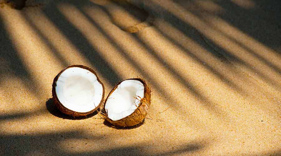 L'élixir tropical : les bienfaits de la noix de coco pour une peau resplendissante