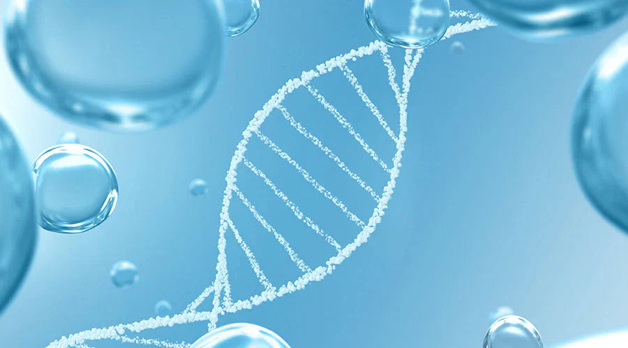 Illustration stylisée d’un brin d’ADN et de molécules hydratantes, symbolisant l’action cellulaire du zinc PCA sur l’équilibre et la régénération cutanée