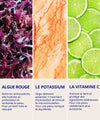 Actifs clés du Sérum Repulpant IUM Paris : algue rouge hydratante, potassium équilibrant et vitamine C éclat pour une peau revitalisée.